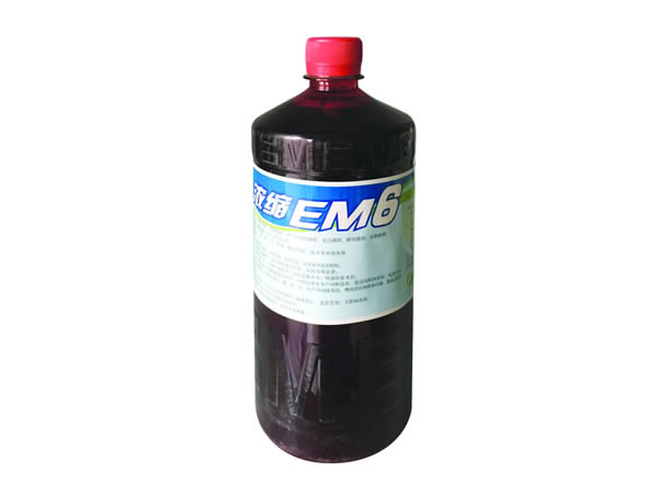 EM6