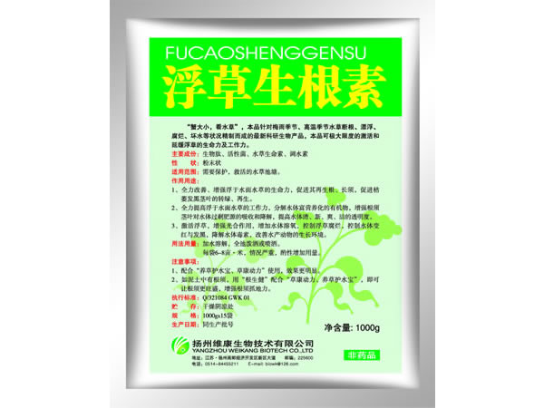 1000g-
