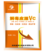 ⶾӦVC